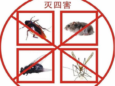 罗村杀虫灭鼠中心专家教你怎么更好的除四害